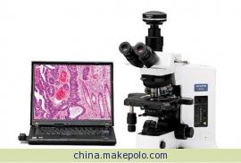奥林巴斯临床级显微镜、研究级生物显微镜