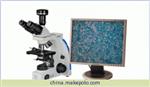 北京显微镜BG500/BG500-TR生物显微镜