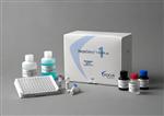 人CD30分子ELISA检测试剂盒