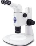 尼康 SMZ800体视显微镜