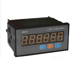 供应HB961智能六位光栅表(报警两路继电器输出)