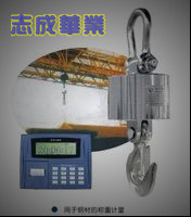 天津电子吊秤|电子磅|吊磅生产厂家，价格合理，经济实用