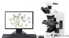 染色体核型分析系统