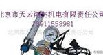 加热二氧化碳减压器YQT-06 110V