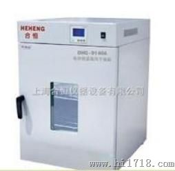 立式300度干燥箱 高温烘箱DHG-9035A