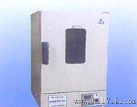 电热恒温鼓风干燥箱DHG-9146A