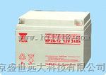 蓄电池NPL24-12 12V24AH汤浅蓄电池/免维护铅酸
