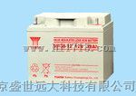 蓄电池NPL38-12 12V38AH汤浅蓄电池/免维护铅酸