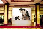 【全色lled大屏幕】价格预算