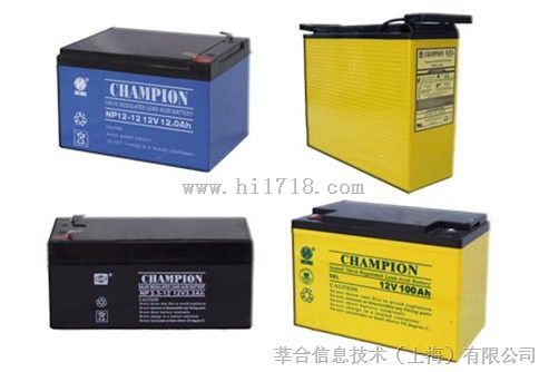 中国上海电池销售 