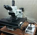 MX61L显微镜 MX61显微镜