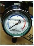 YTNP-100不锈钢耐震隔膜压力表