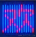 LED数码管价格LED数码管价格