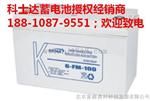 KSTAR科士达蓄电池6-FM-100B 12V100AH