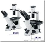 北京总代供应奥林巴斯OLYMPUS CKX41-F32FL荧光倒置显微镜