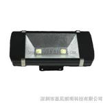 100WLED隧道灯