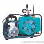 宝亚充气泵junior 11 380V