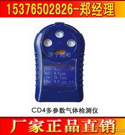 CD4多参数气体检测仪 气体检测仪厂家