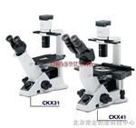 奥林巴斯CKX31-A12PHP CKX31两目相差显微镜