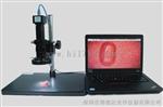 供应深圳高倍数 高清晰usb显微镜 视频显微镜