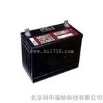 大力神蓄电池CD-12100LBT价格