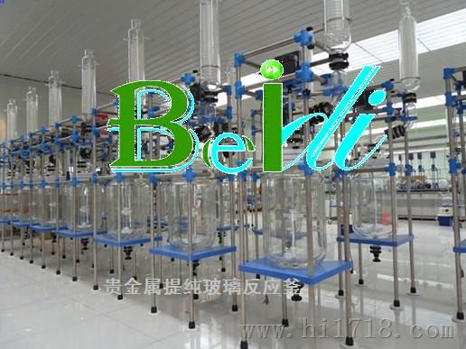 贵阳BDX系列贵金属提纯用玻璃反应釜