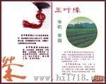 包装盒