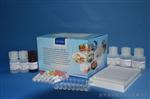赭曲毒素A酶联免疫反应检测试剂盒