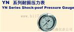 天康杰森耐震压力表