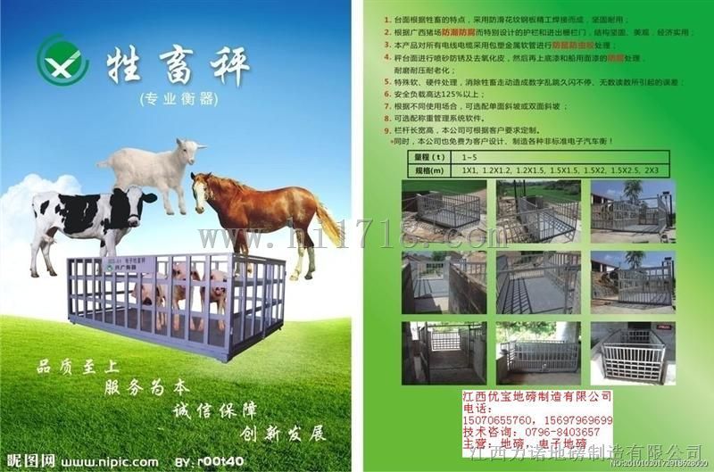 吉安电子称