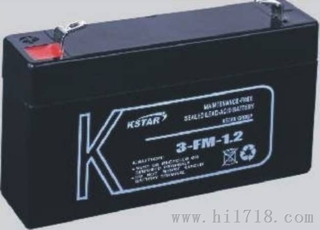 12SP55 12V,55AH非凡蓄电池|FIAMM电池