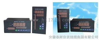 智能数字显示报警仪