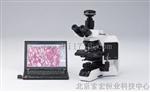 奥林巴斯BX53--72P01 BX53三目生物显微镜