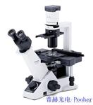 奥林巴斯显微镜CKX41-倒置研究级