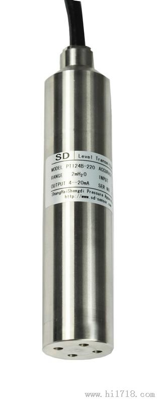   标准型投入式液位变送器