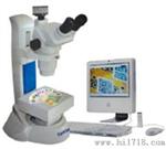 STM65AF自动对焦数码立体显微镜