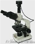 供应广州市 双目便携式显微镜 视频显微镜