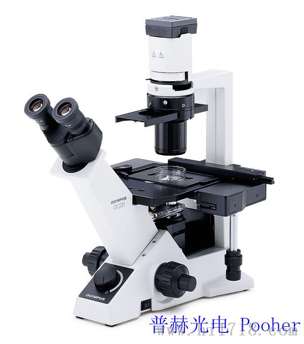 奥林巴斯倒置显微镜-CKX系列