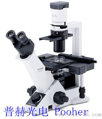 OLYMPUS奥林巴斯显微镜CKX31-报价