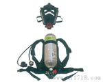 BD2100标准型呼吸器价格