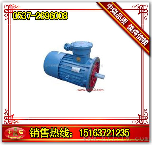 YB71-0.55-2防爆高压电机 