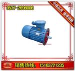 YB71-0.55-2防爆高压电机 