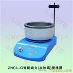 ZNCL-G智能磁力搅拌加热锅（器） 