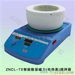 ZNCL-TS智能数显磁力搅拌电热套（器）  