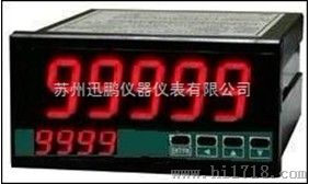 SPA-96BDW直流功率表