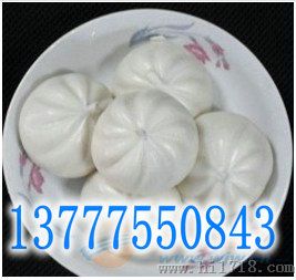 广东全自动包子机