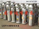 雕塑喷泉潜水泵，不锈钢雕塑喷泉潜水泵批发供应。