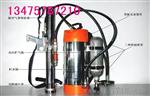 高压脉冲灭火装置优质供应商，QWMB12高压脉冲灭火装置