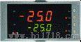 虹润供应NHR-5200双路数字显示仪