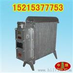 矿用隔爆型电热取暖器 RB2000/127电热取暖器